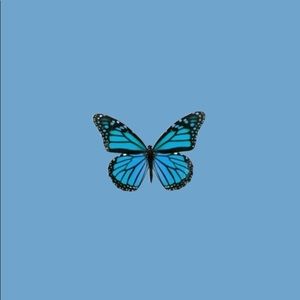 Meet your Posher, Savannah